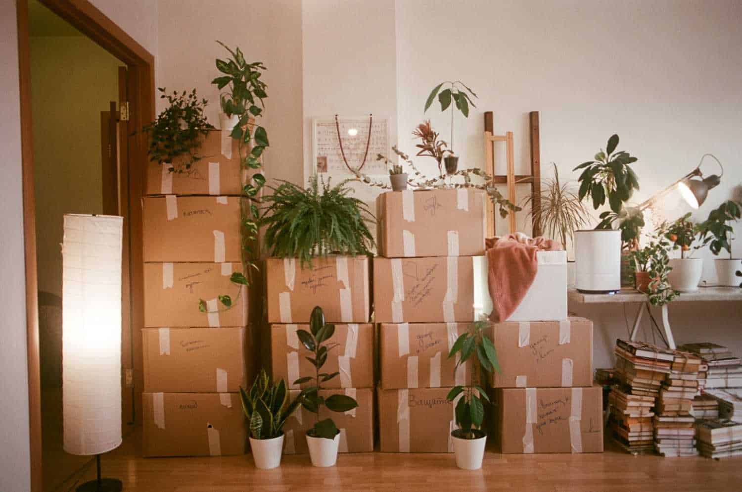 Moving + Storage in Greenville: What to Do When Your New Home Isn't Ready Yet
